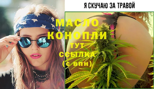 тгк Дмитров