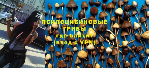 ALPHA-PVP Дмитриев