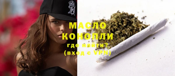 тгк Дмитров