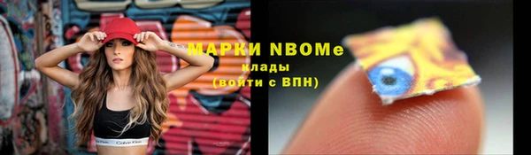 тгк Дмитров