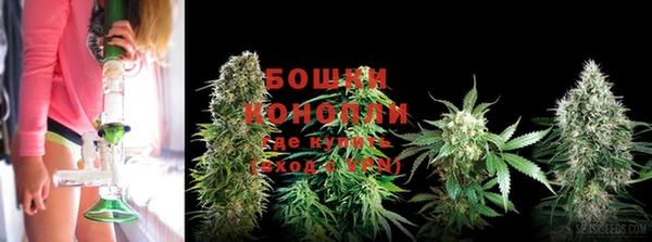 ALPHA-PVP Дмитриев